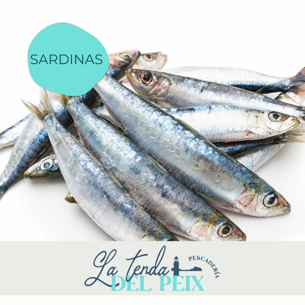 foto de sardinas
